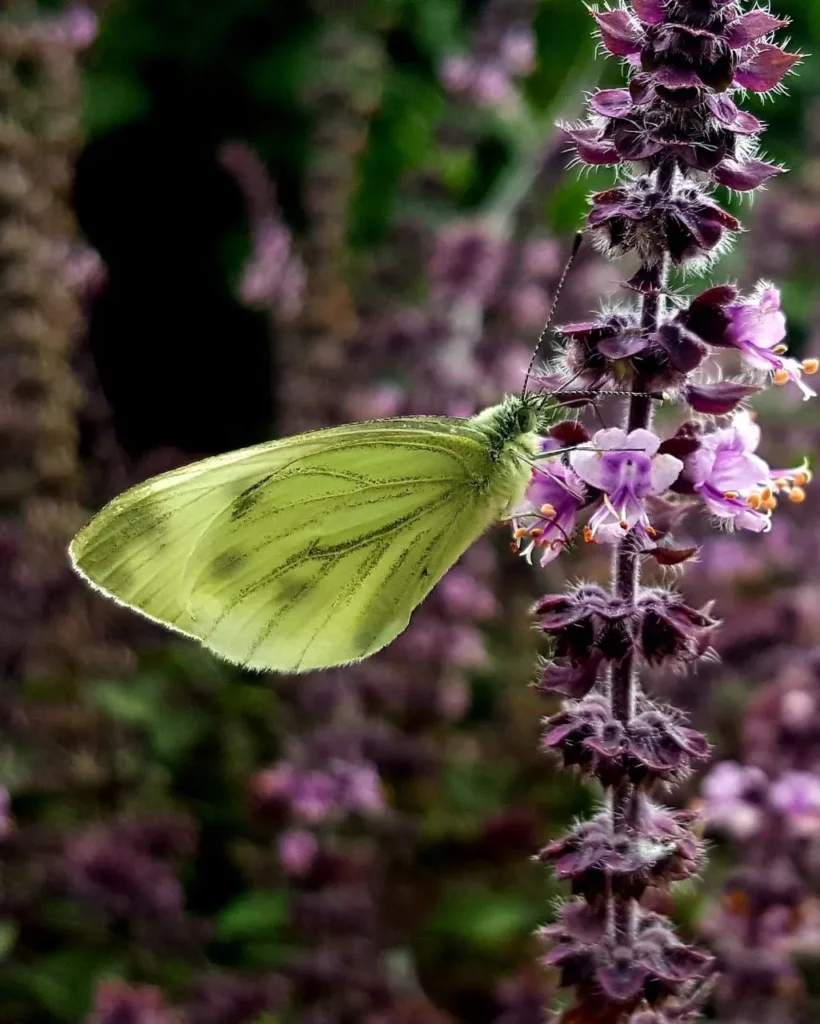 Ontspannen in de natuur